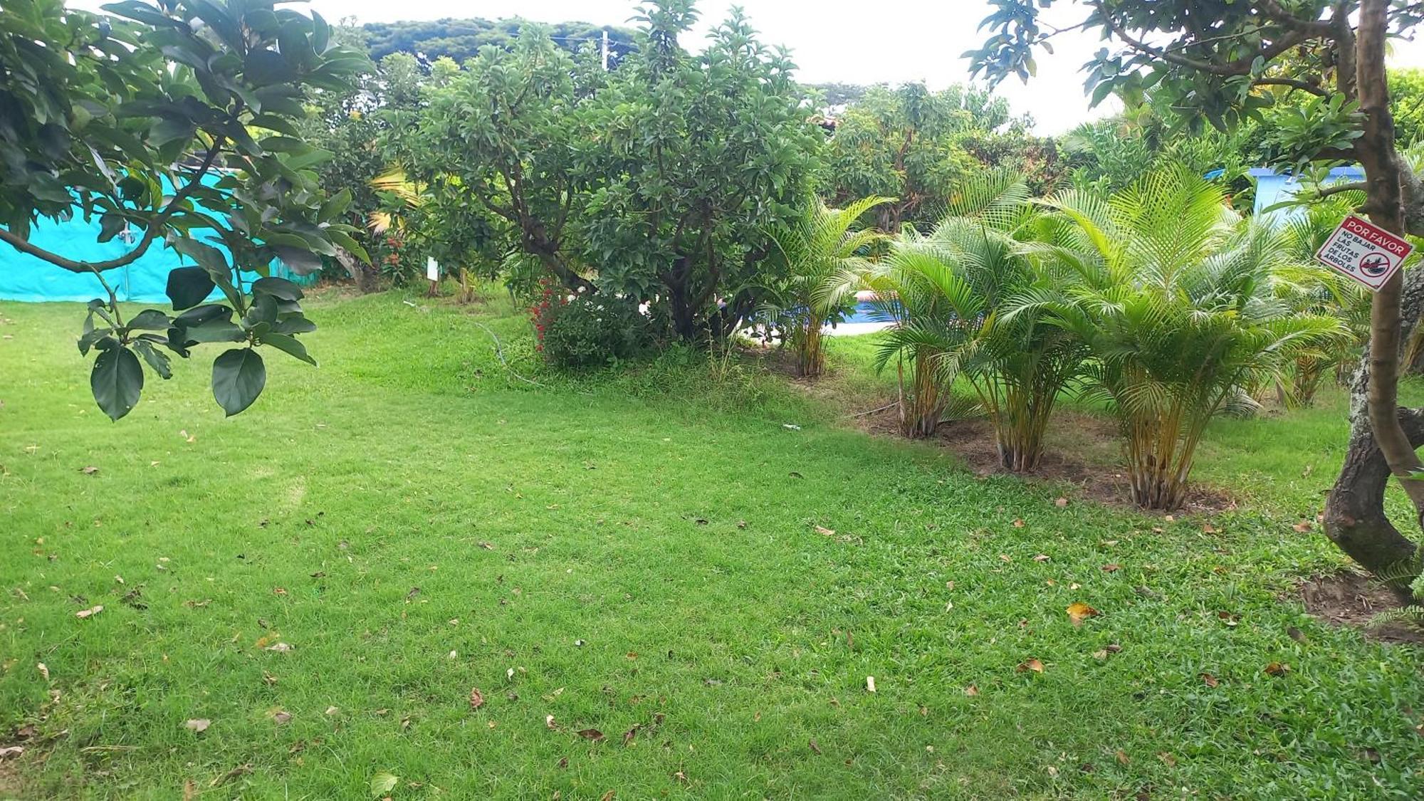 Las Orquideas Rozo 外观 照片